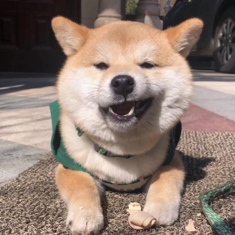 想吃一个狮子头😋