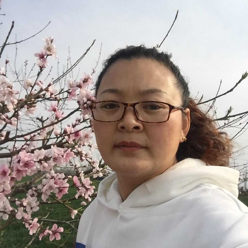海棠花