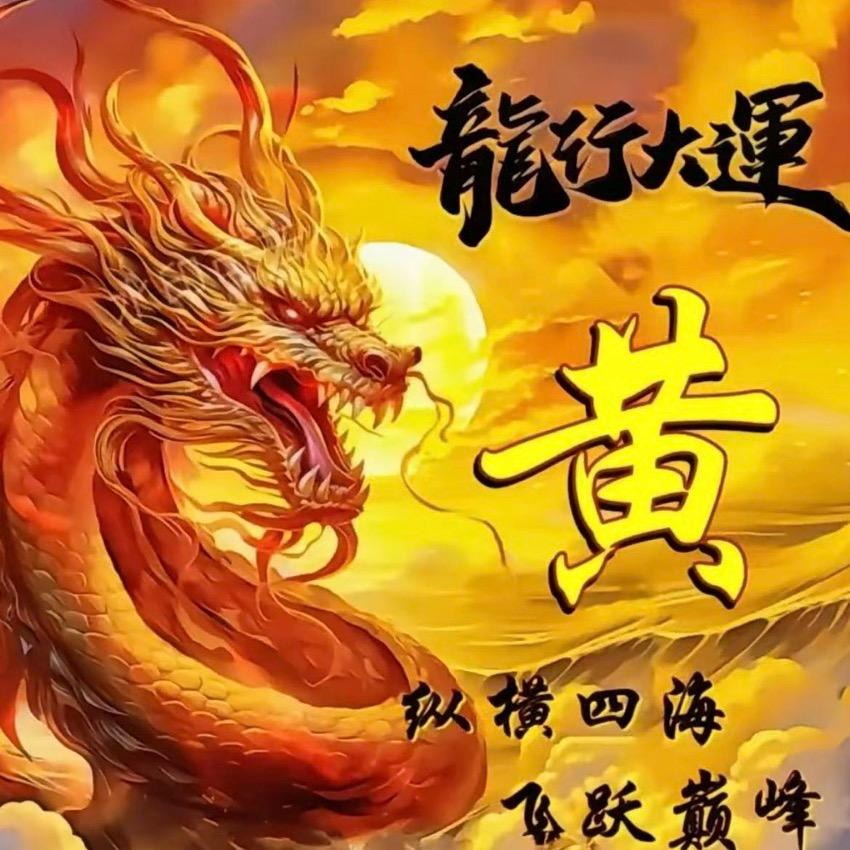 硅藻墙衣