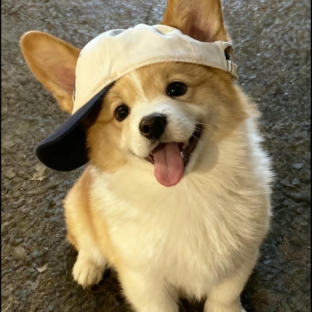 Shmilynn