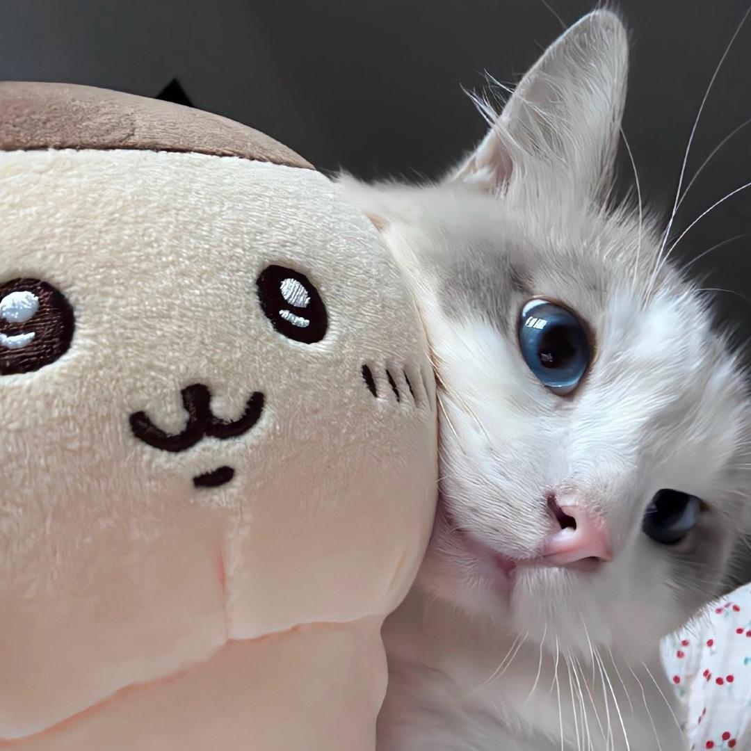 Le