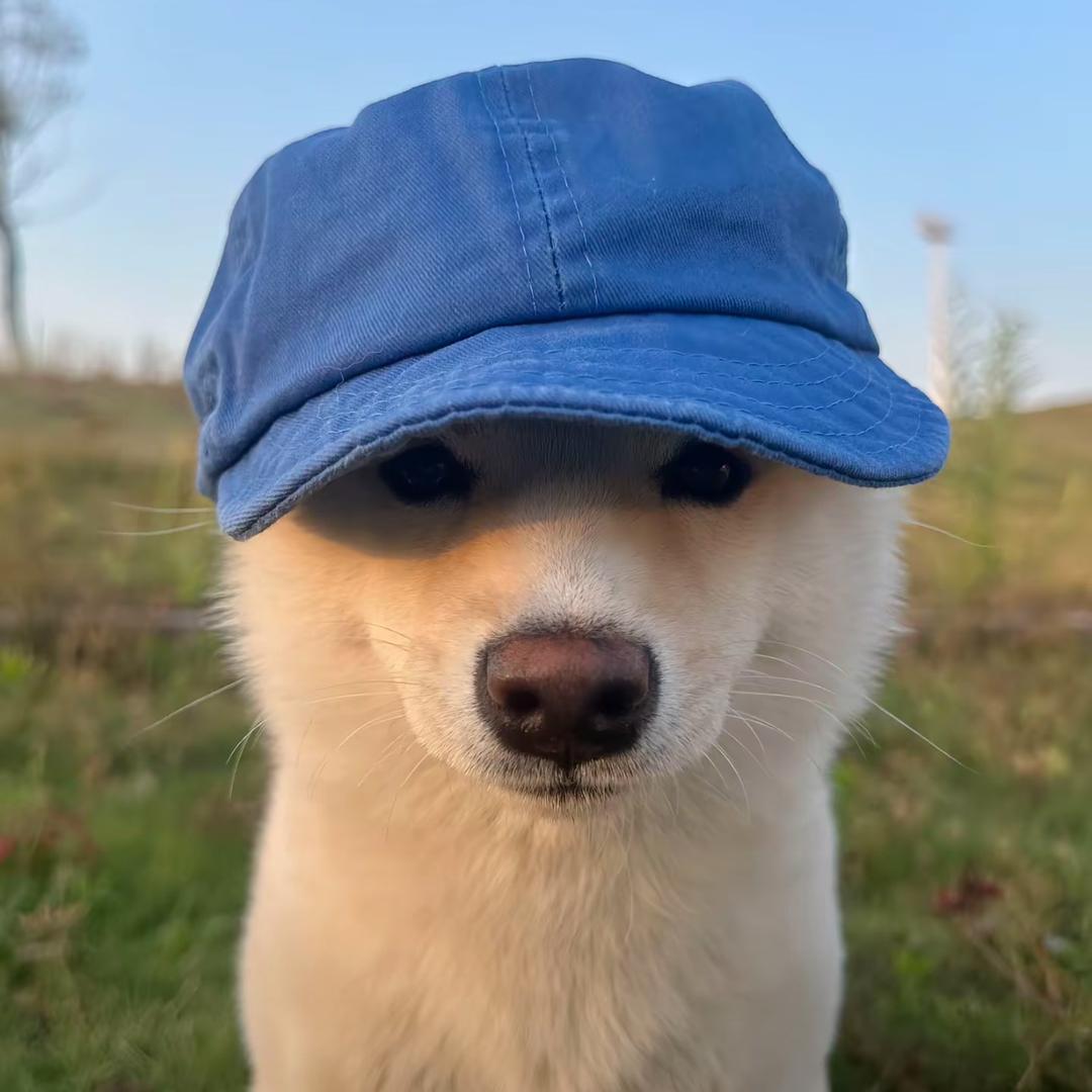 @ZJT🧠💸
