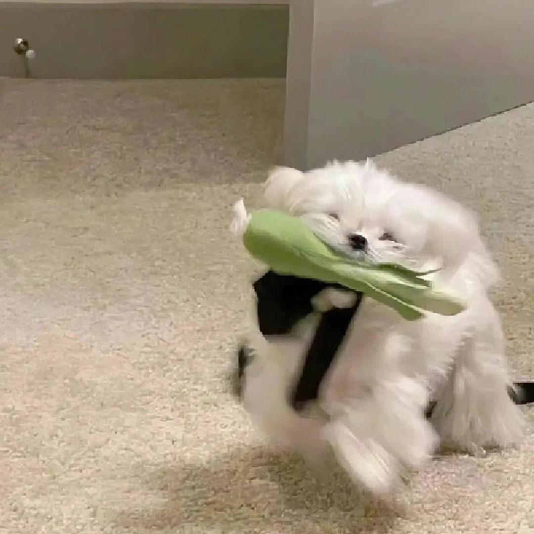 一顿吃三碗半