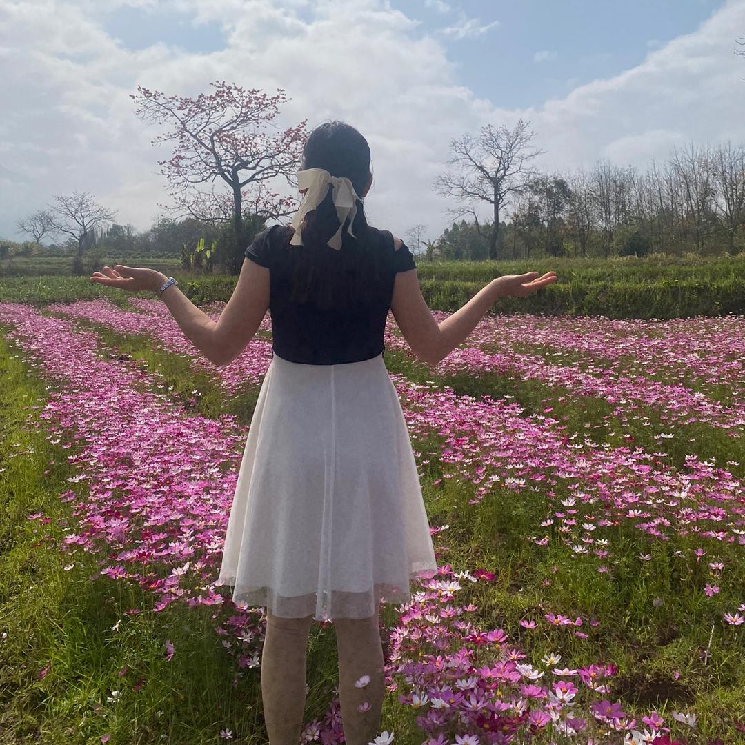 舒音🌺