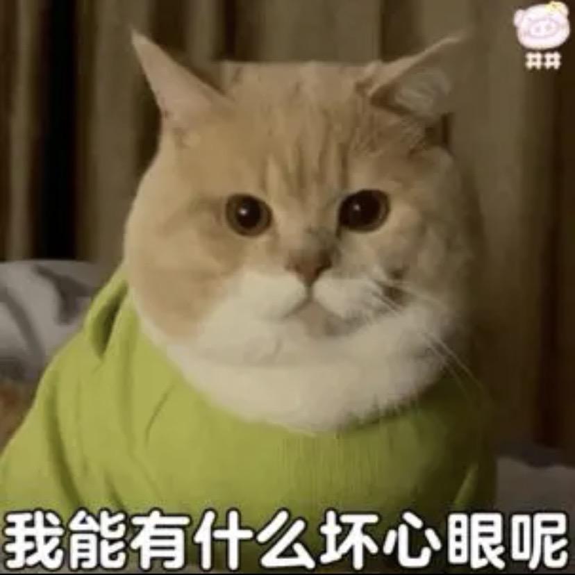 新格局严选