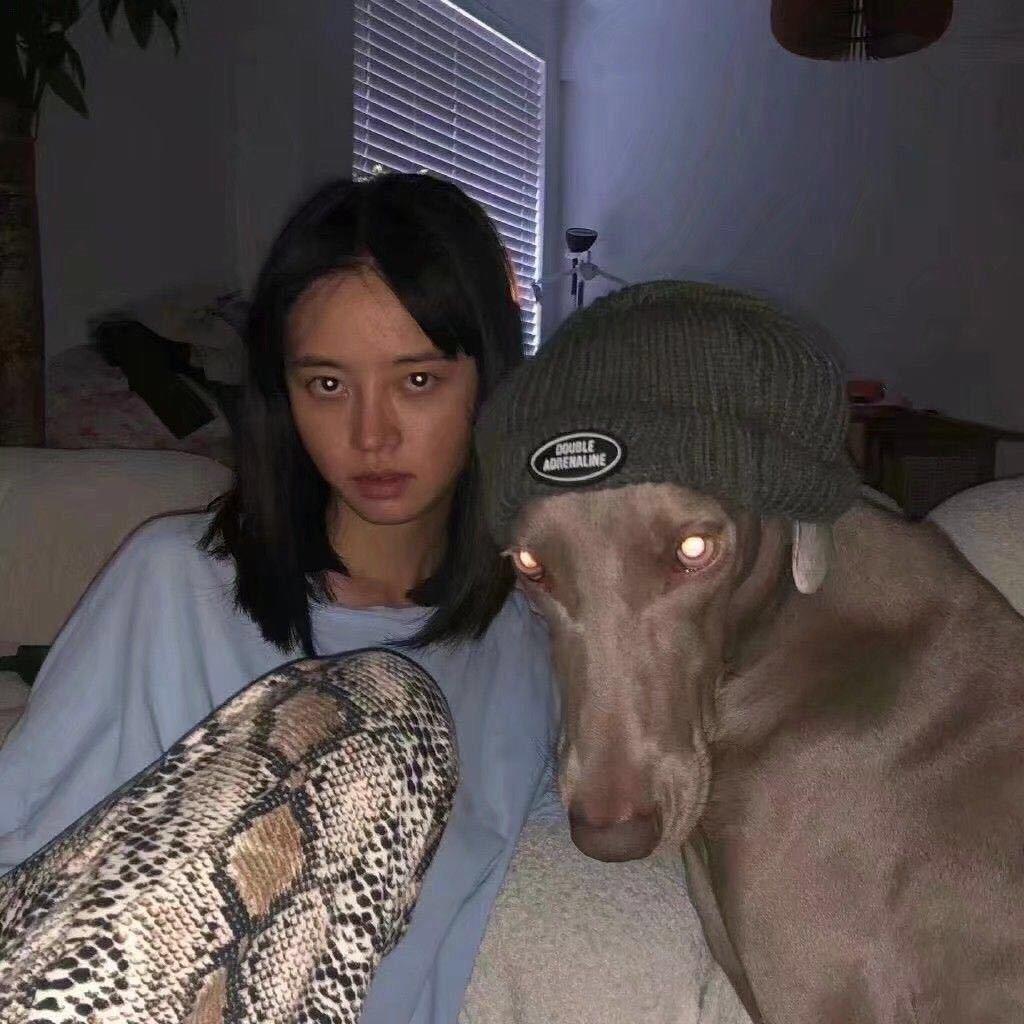 苏文纨