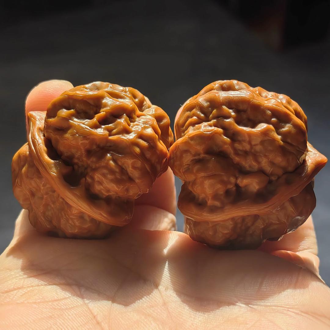 老登文玩（老品种）