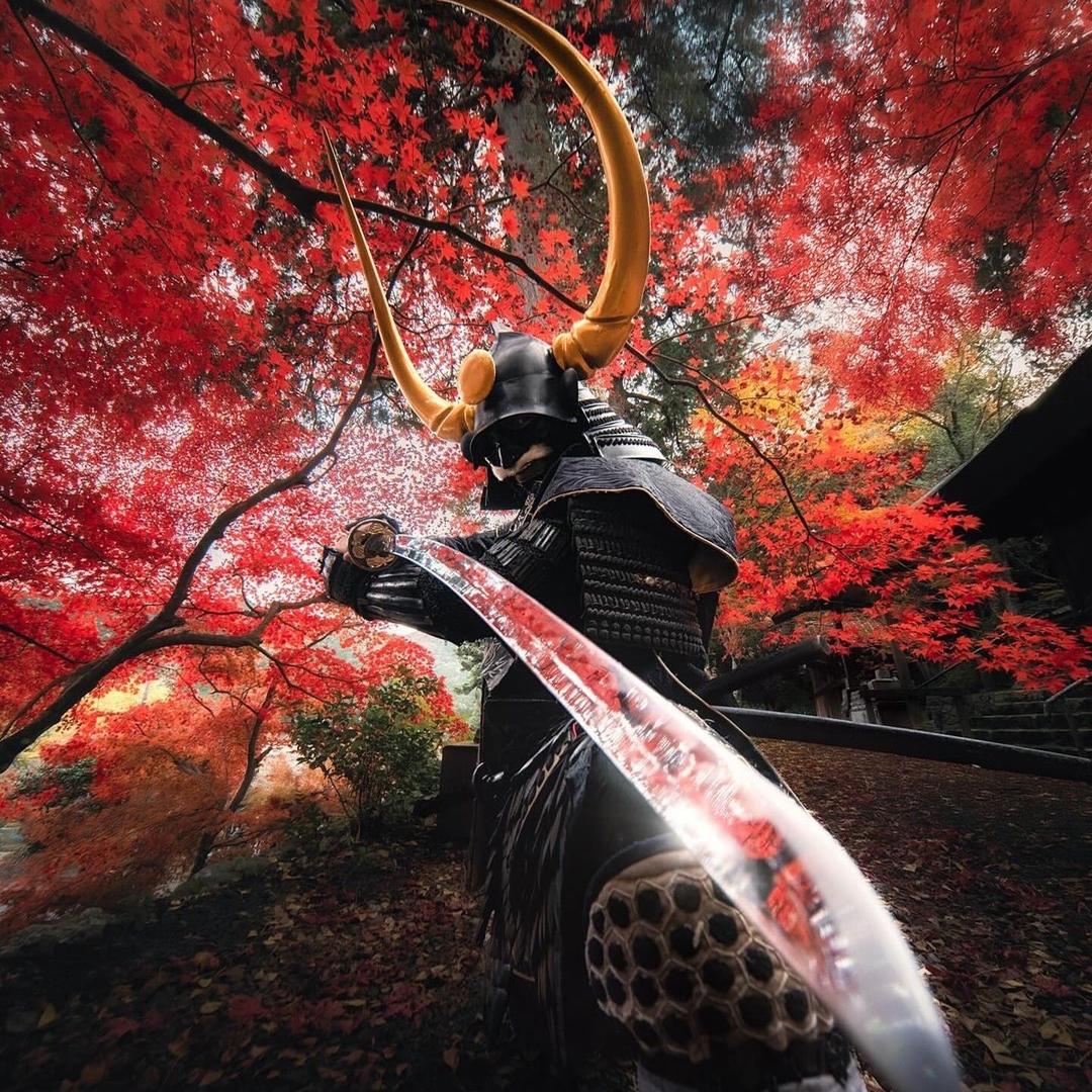 夜彩