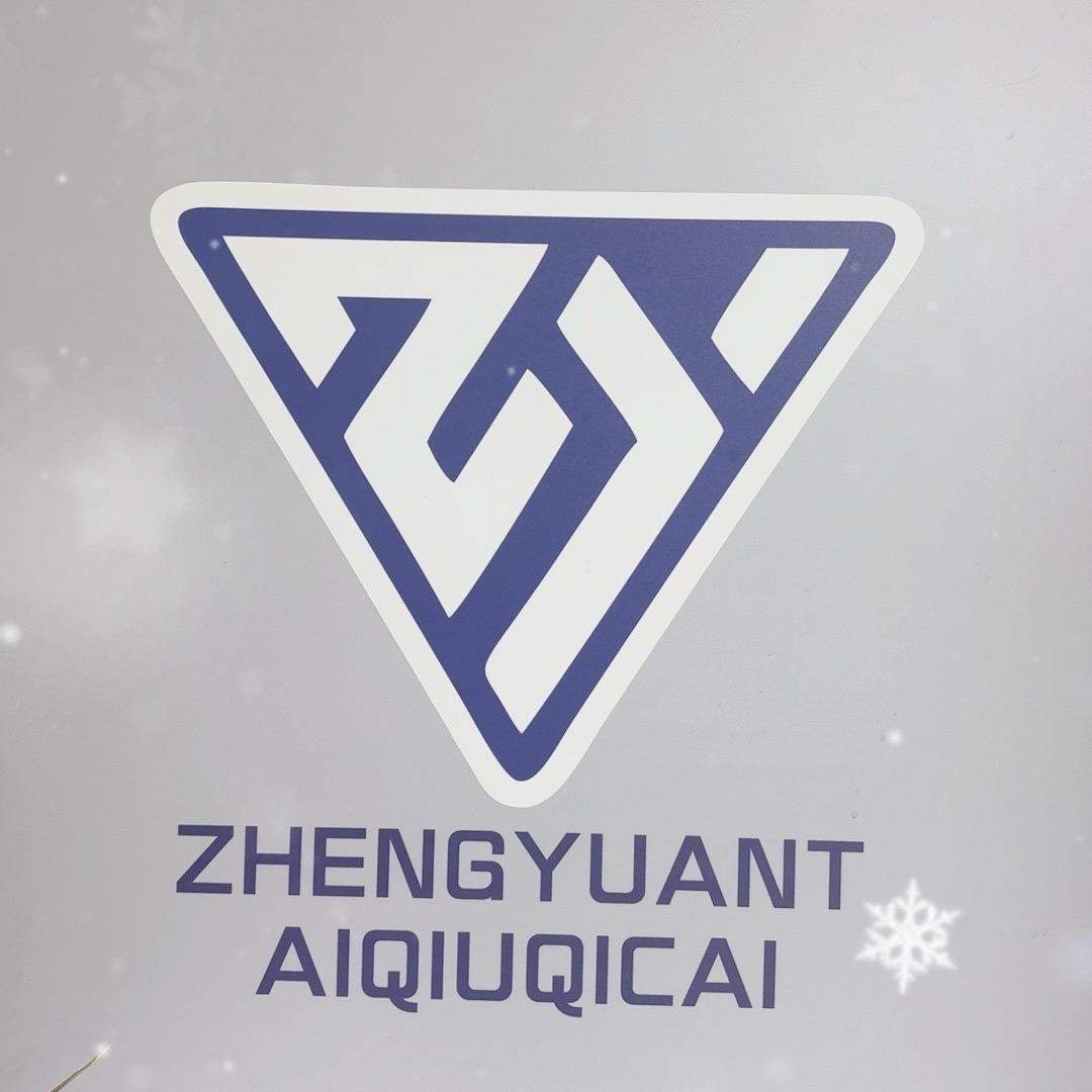 正远台球器材