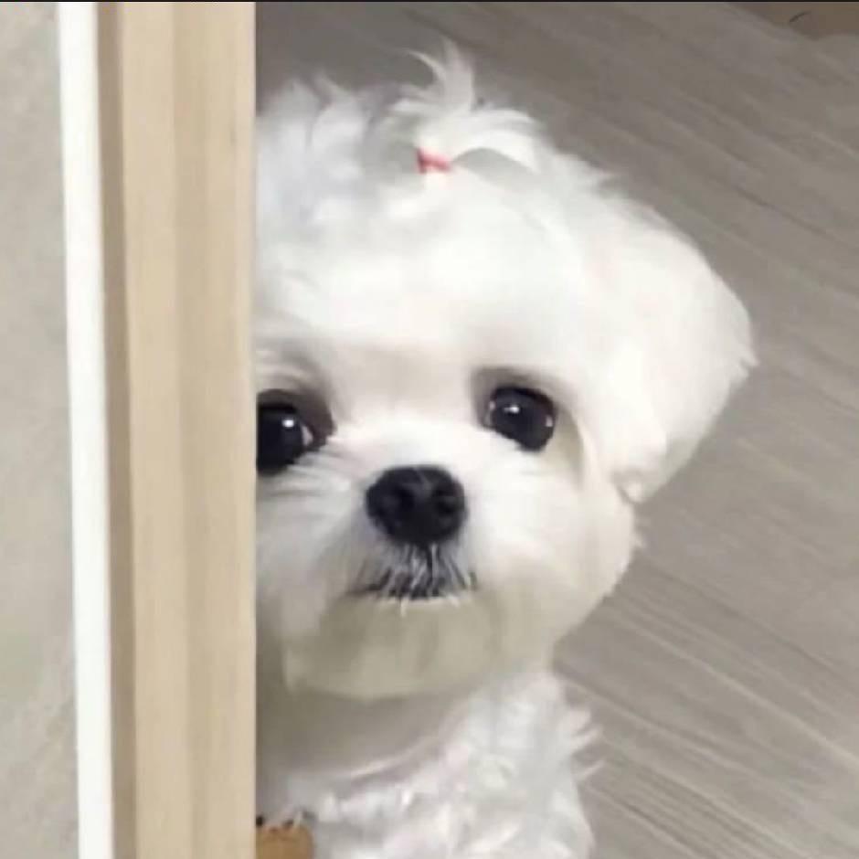 何什么