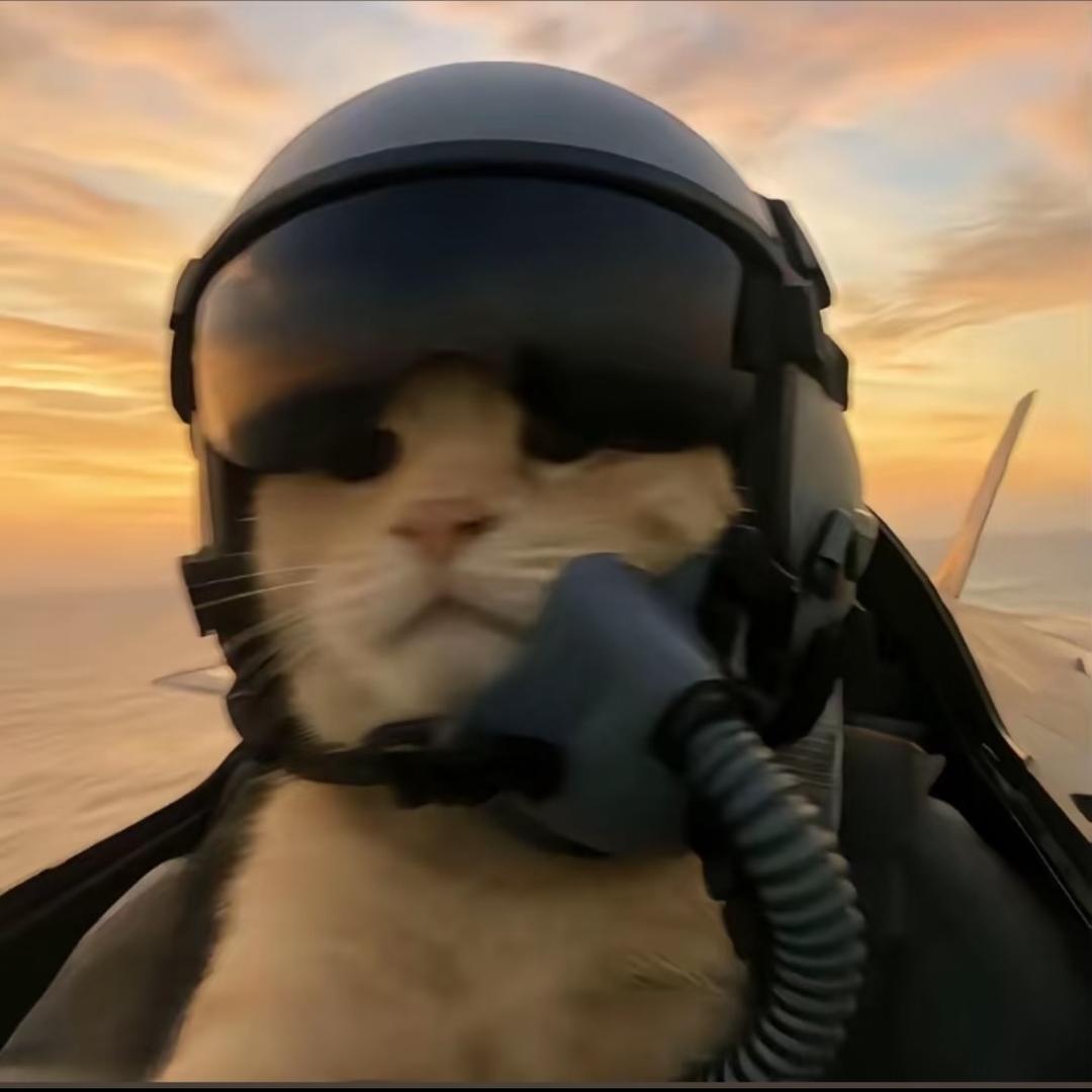 哈基蜂(三角洲行动)