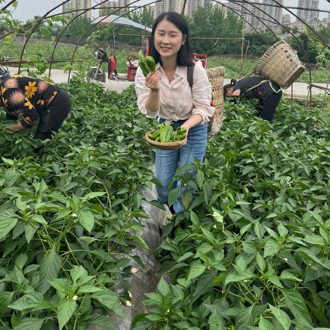 小锐农场