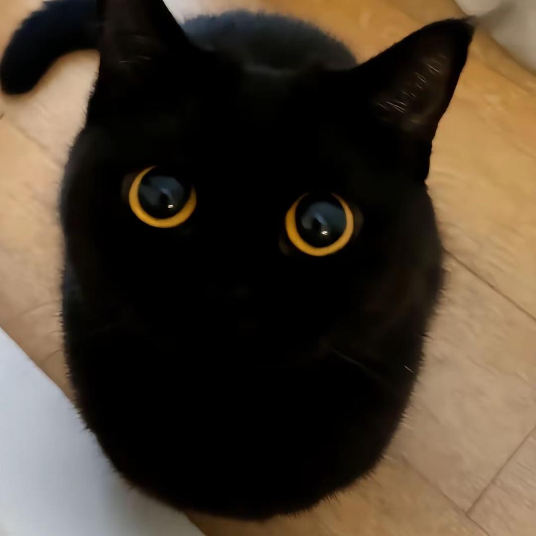 不语