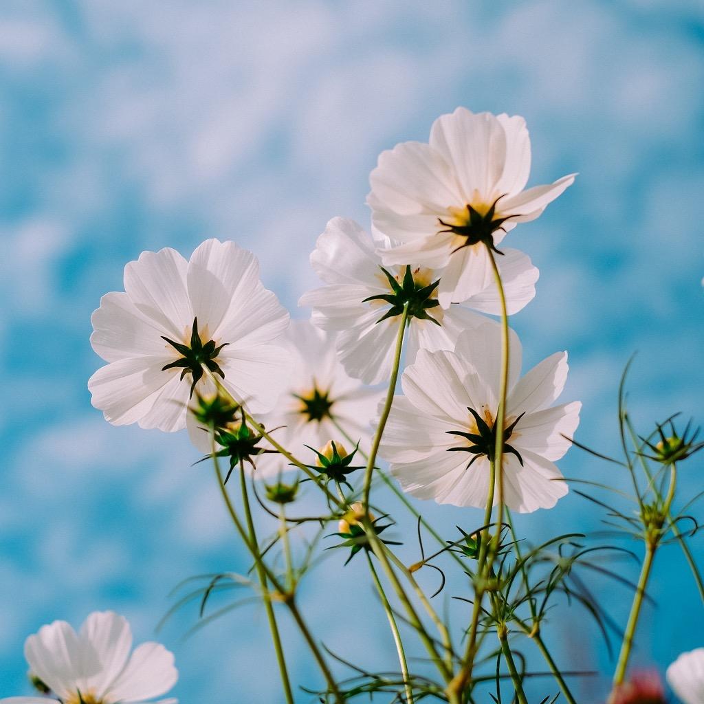 …念祺......☁️