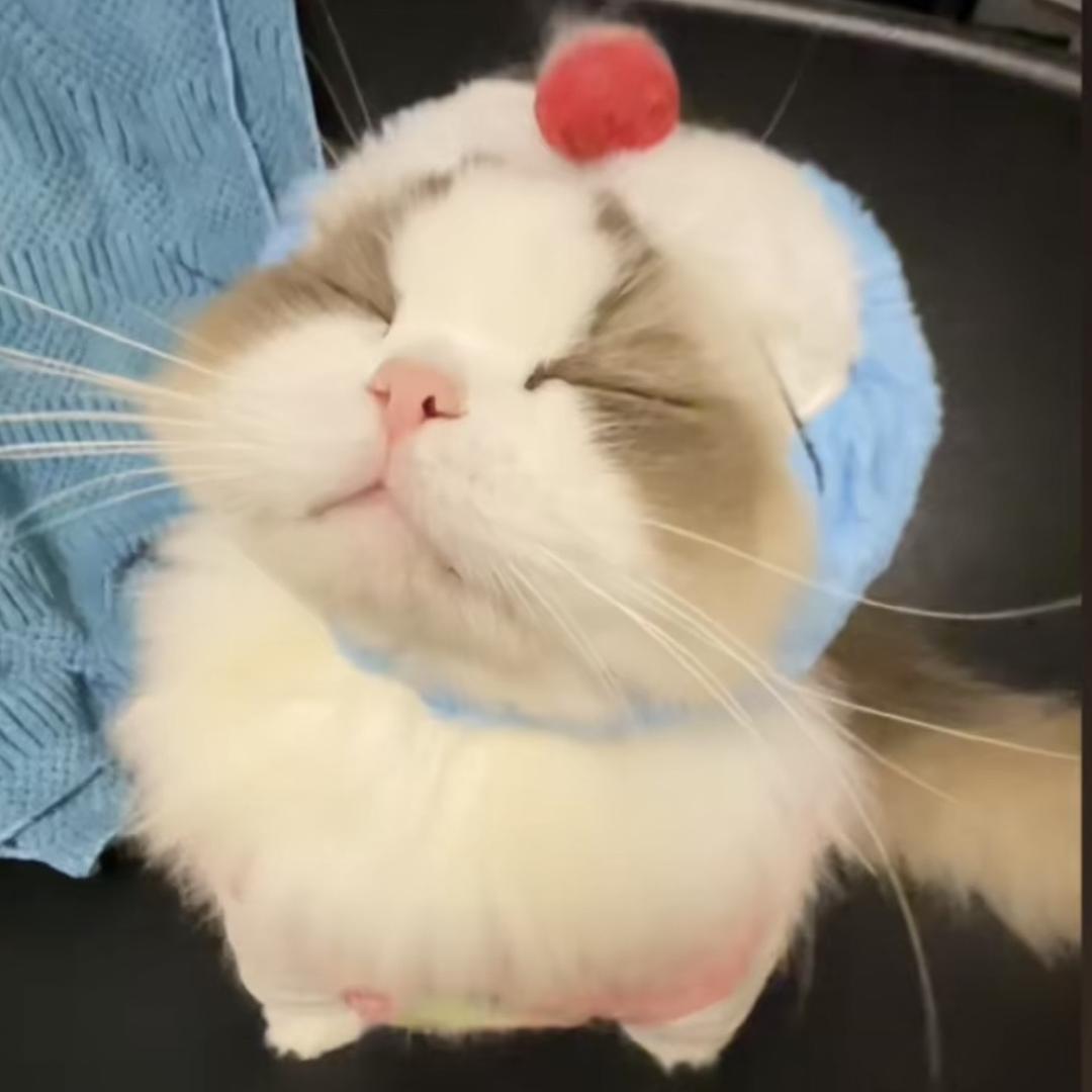 🌈屁