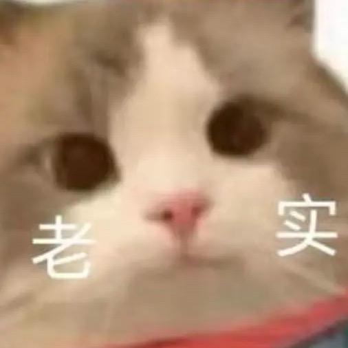 纯情蟑螂火辣辣