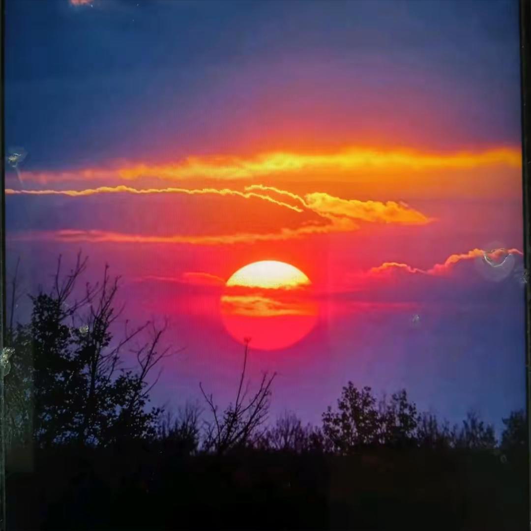 陈“🍊”💞D.X.L