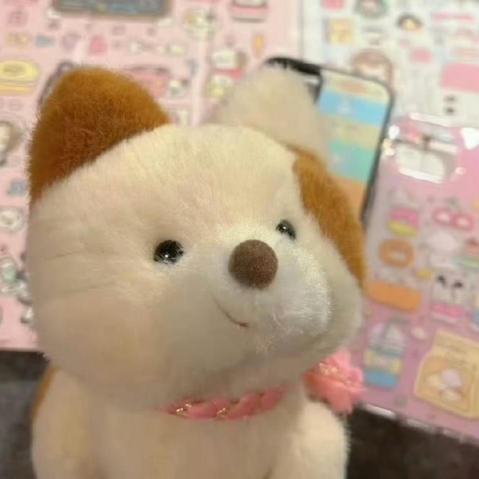 王 王 王 王👑