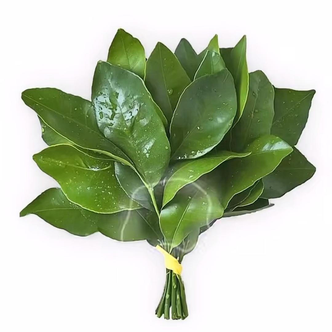黎明比花浪漫