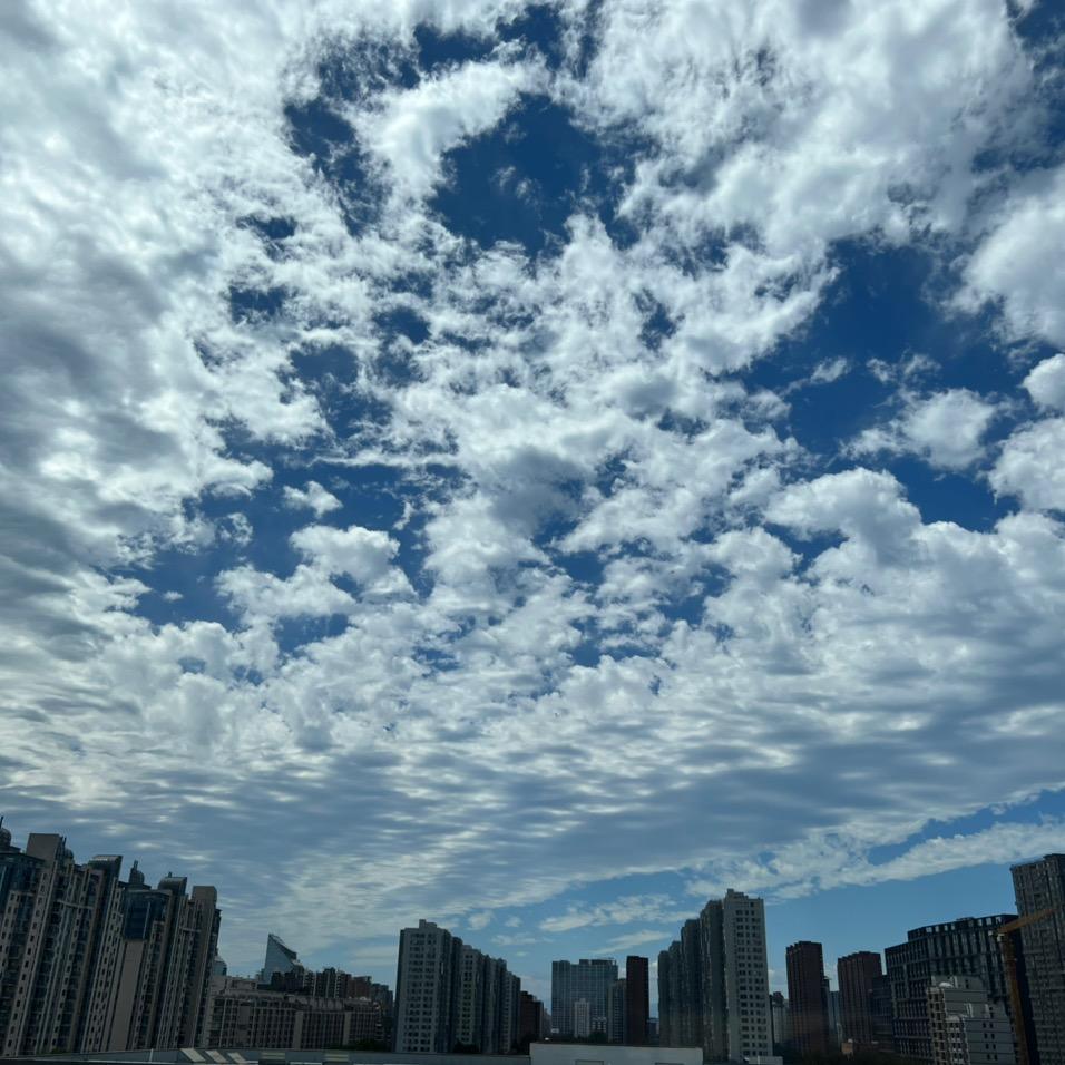 胖海豹🏊‍♂️