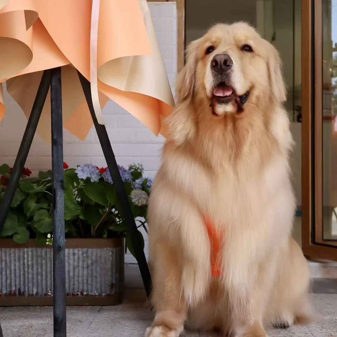 魔女高端女装穿搭