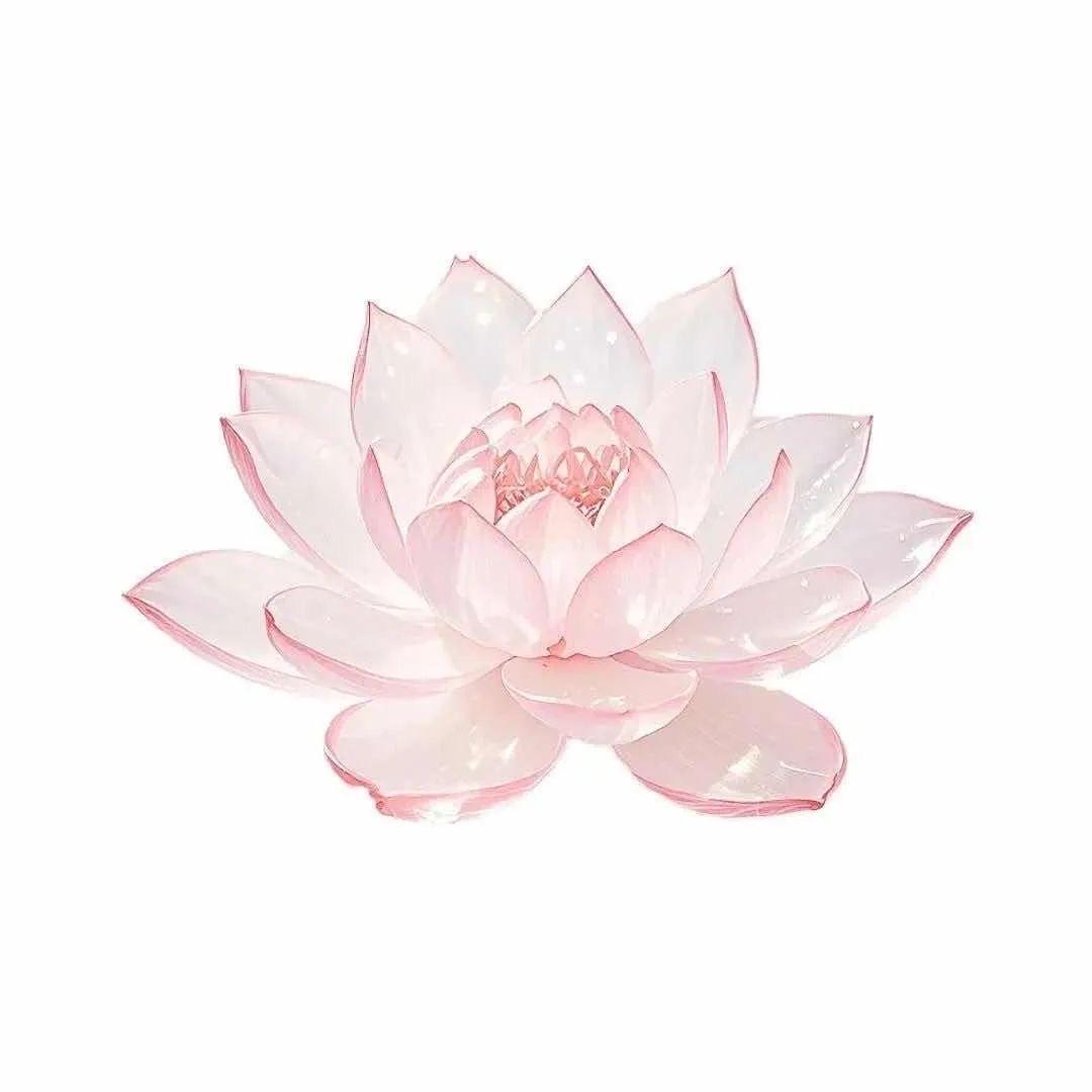安然💕