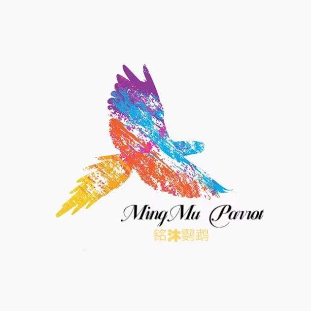 铭沐鹦鹉