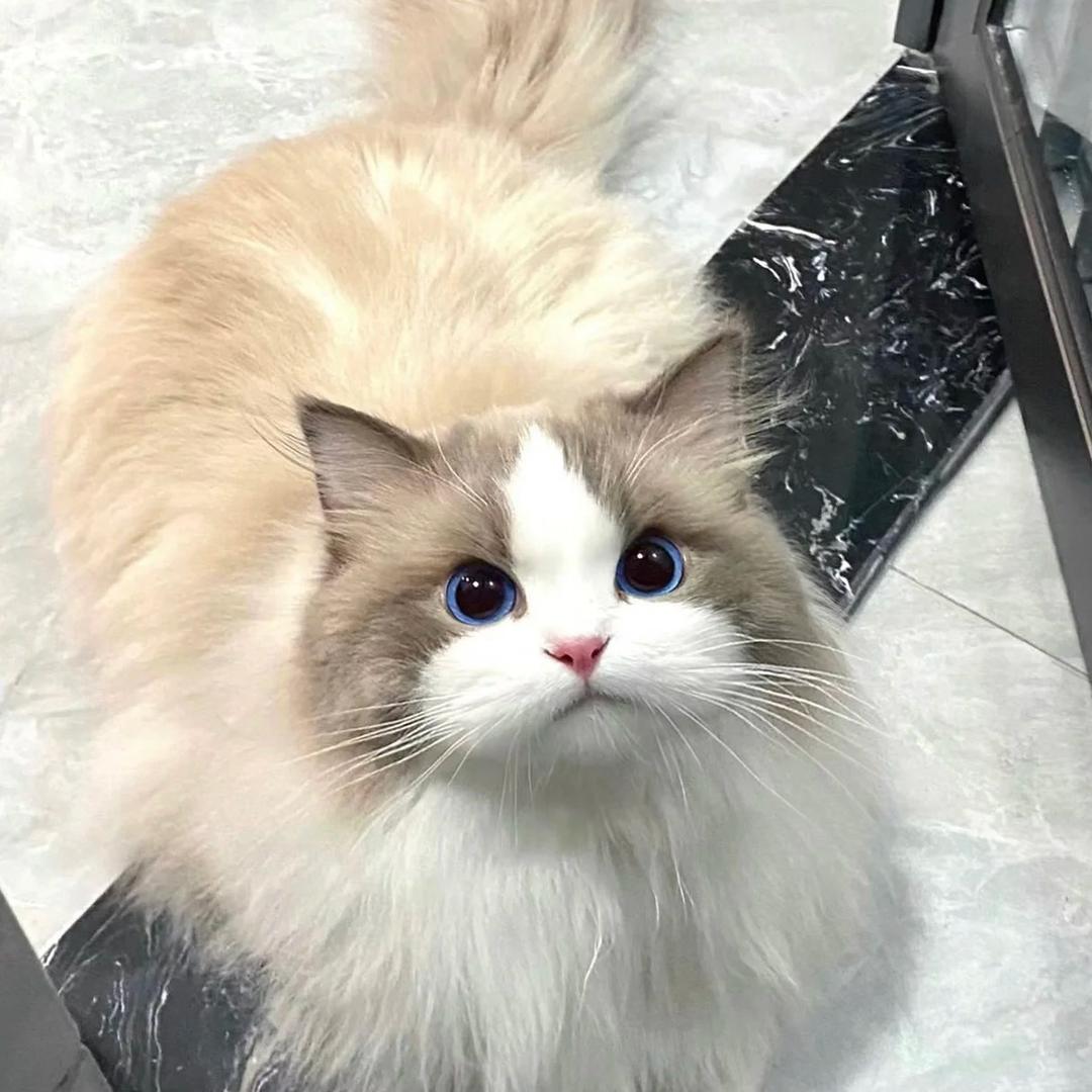 鄸躅