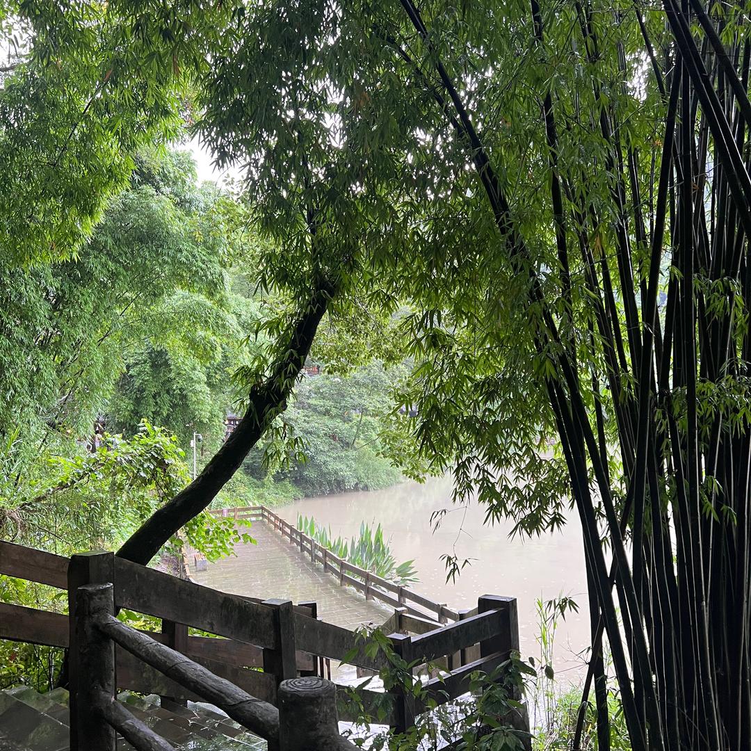 人生若只如初见💕