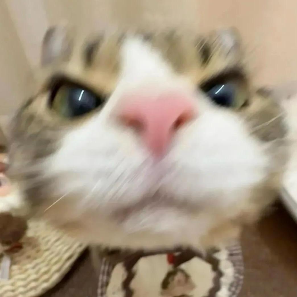小竹