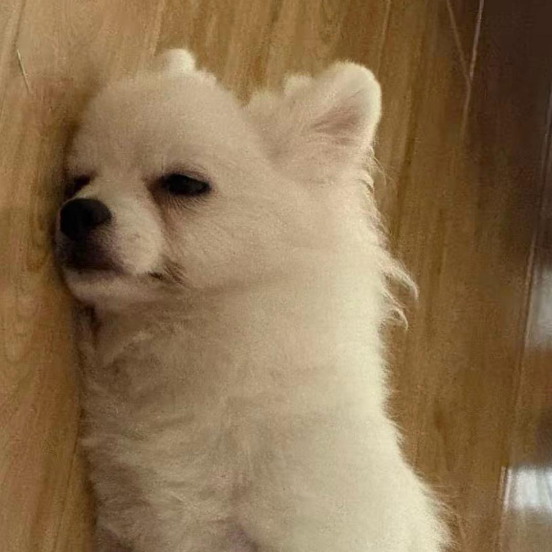 邪恶小红围脖🧣