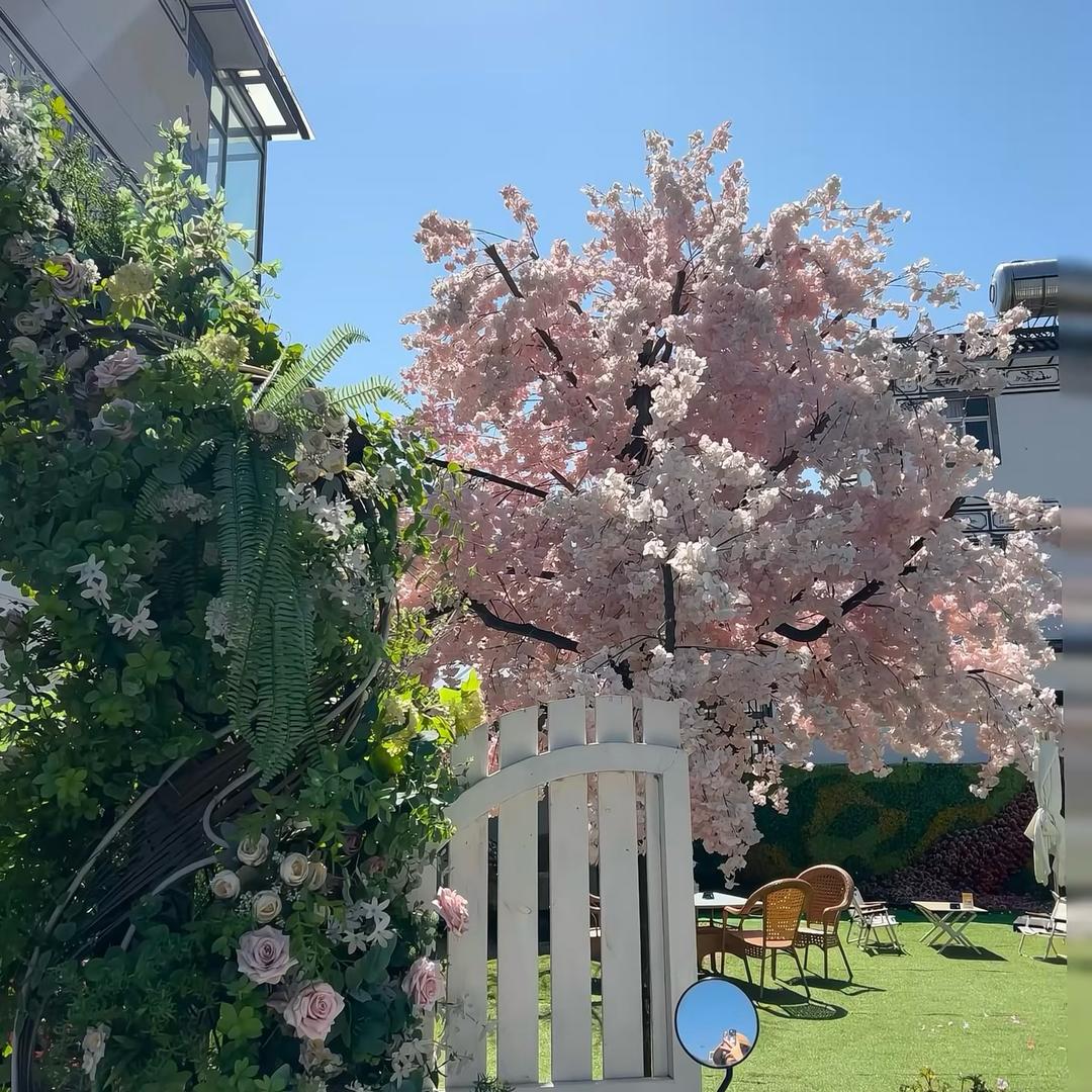 不吃香菜