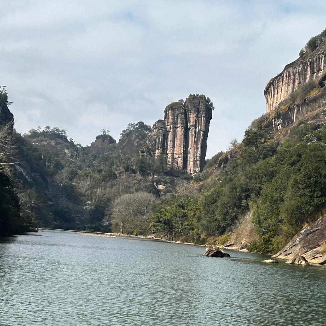 廊韵幽纯岩茶厂