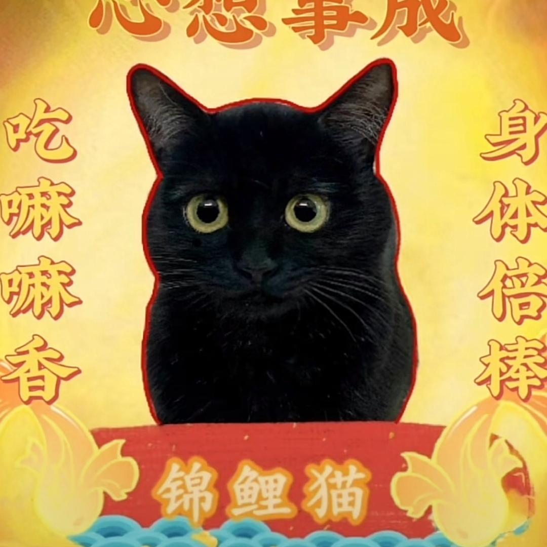 超大格局绘图员