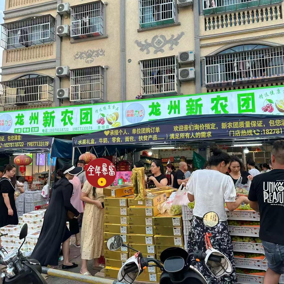龙州新农团（金桂店）