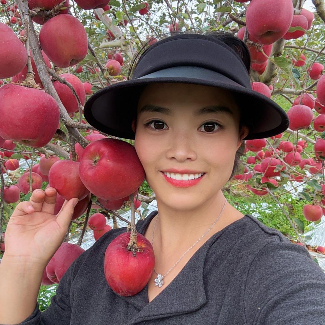 肖肖的苹果园