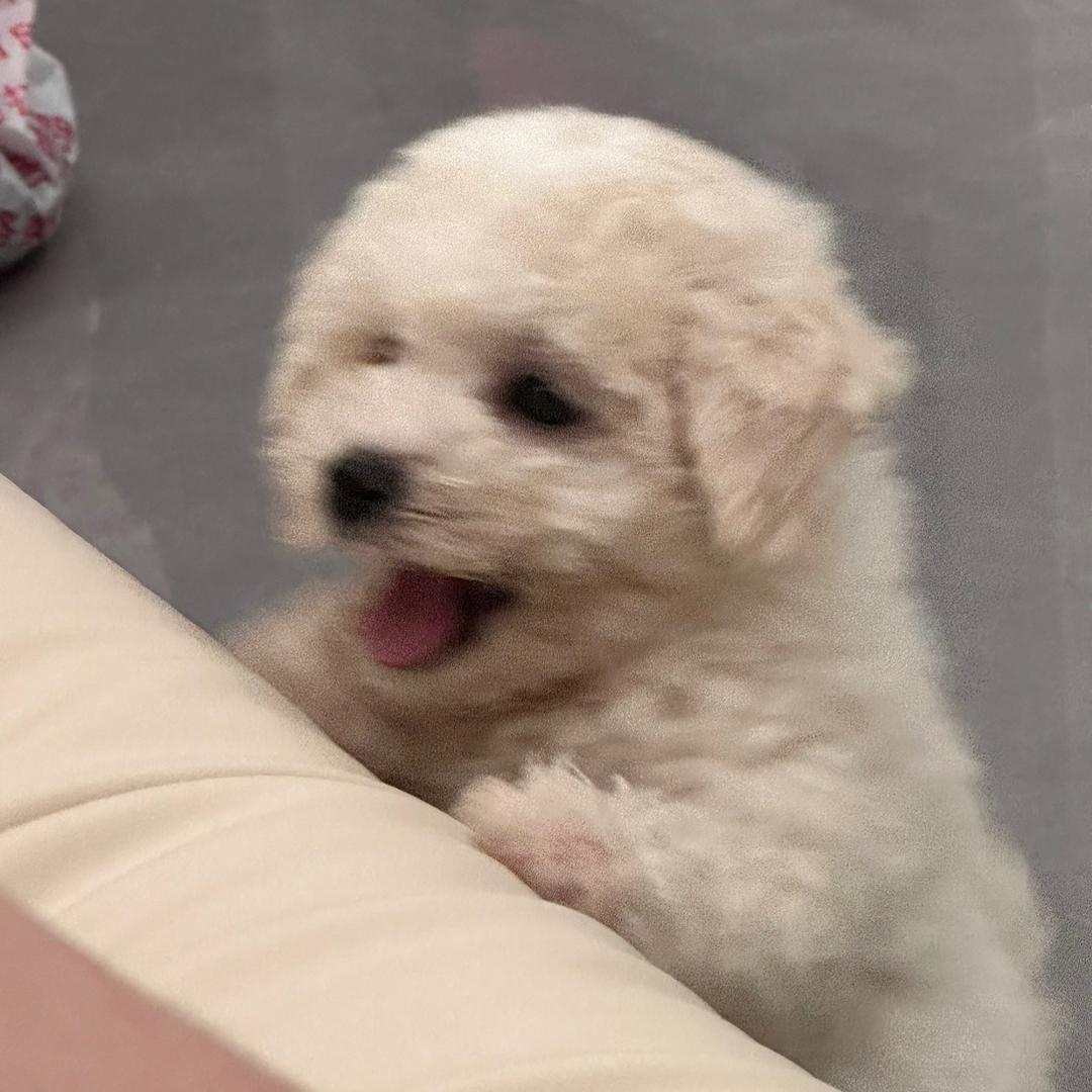 很好吃.