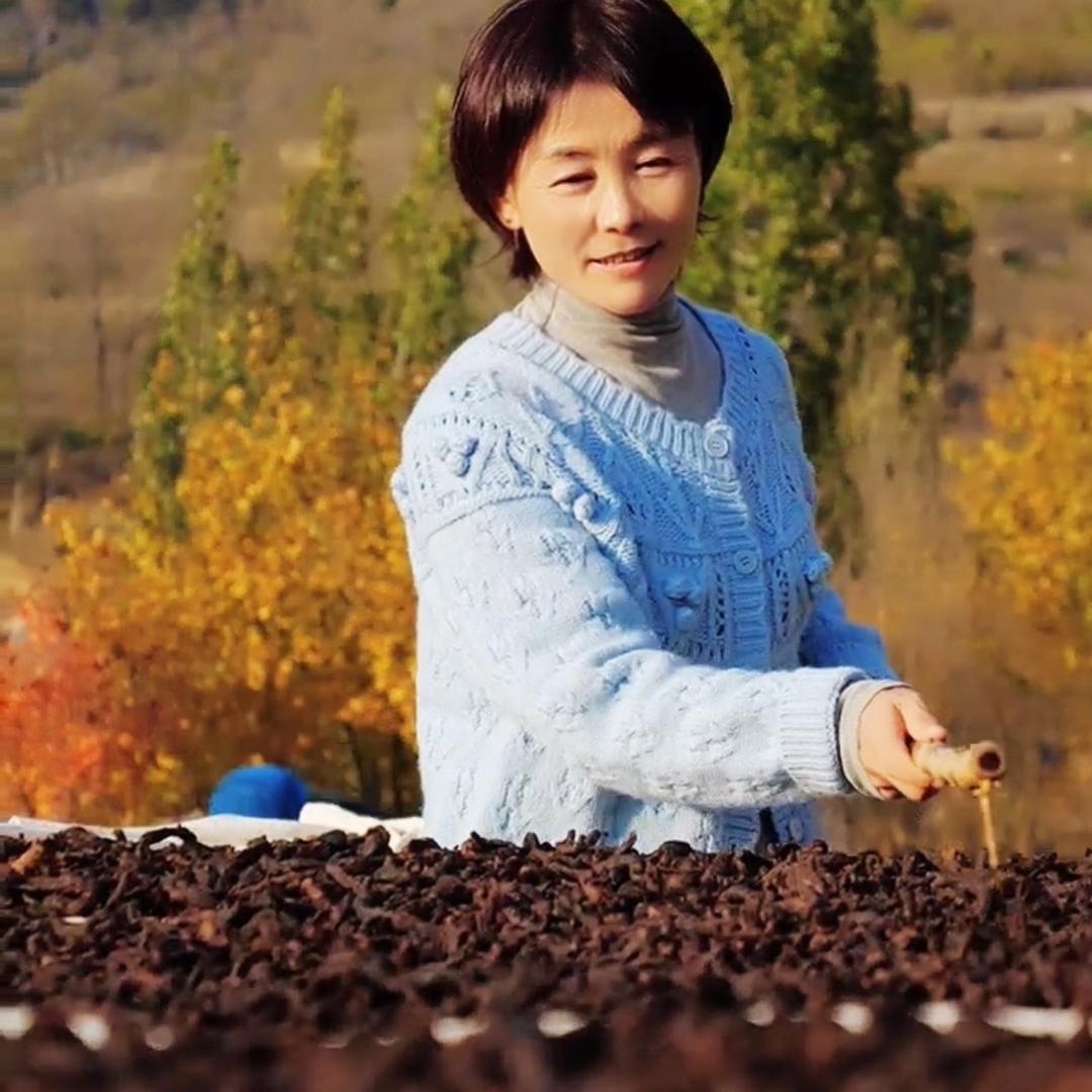 鸢尾花 【野黄精】