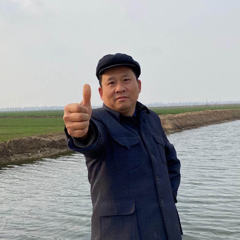 淮南圆子