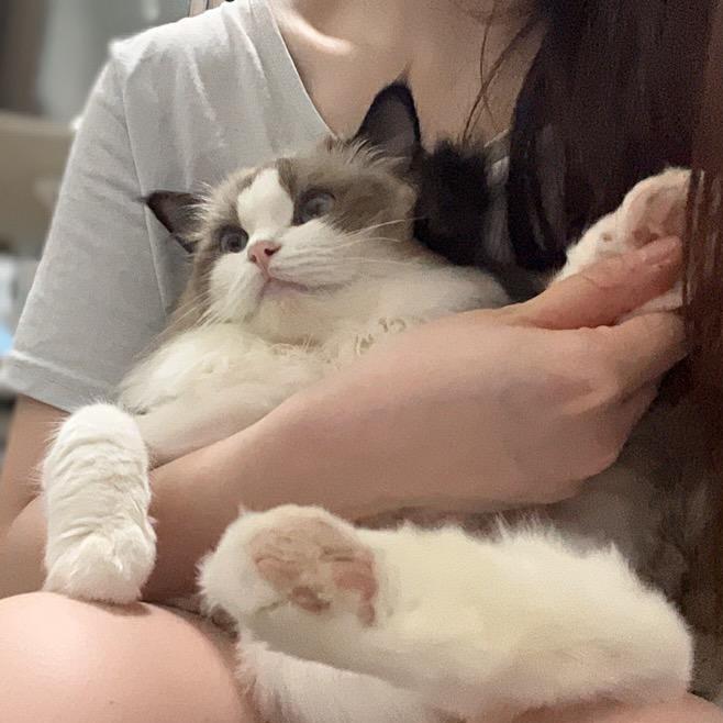 沐大大