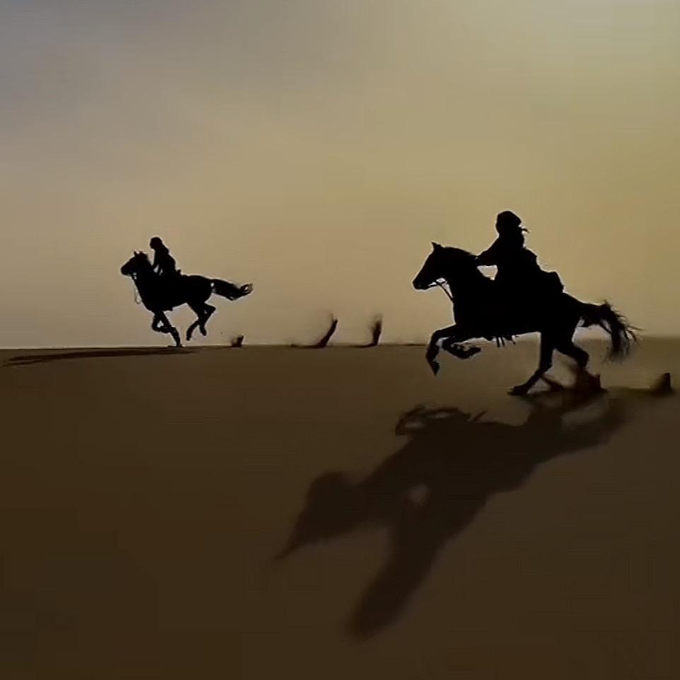 TULPAR🐎【直播间】