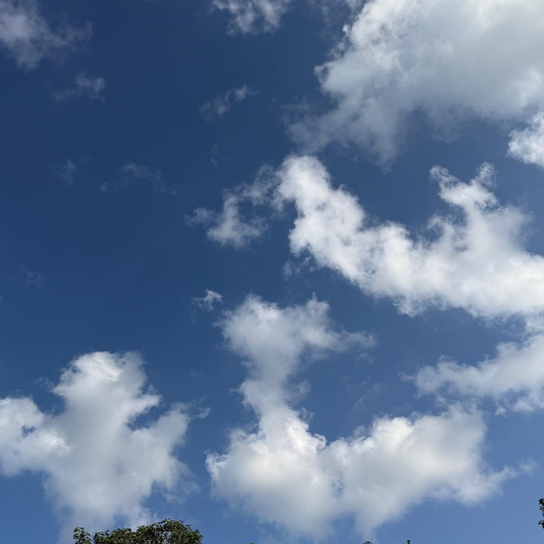 花开花散皆无痕