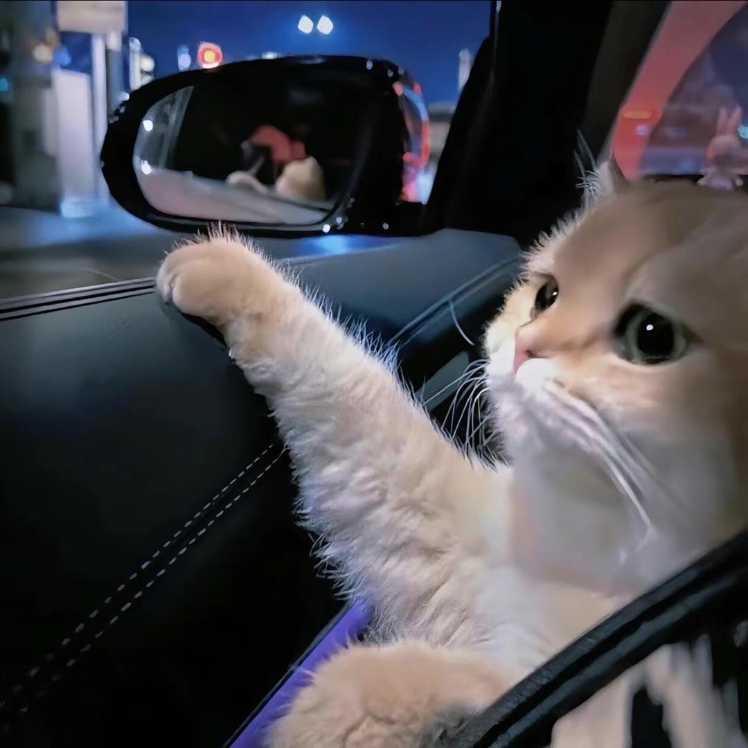 @橘柚