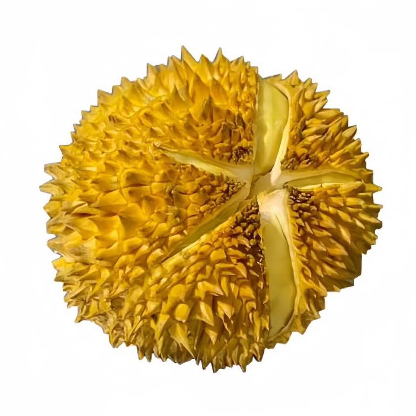 哇哇哇哇哇哇哇哇哇哇