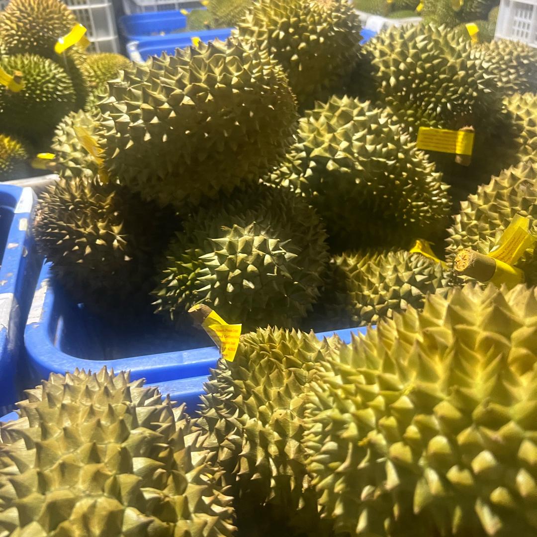 十三哥生鲜优品小时达