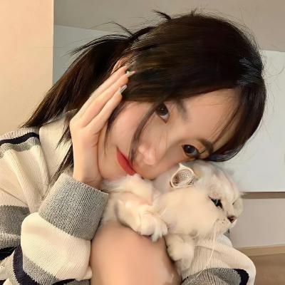 甜橙之日用好物