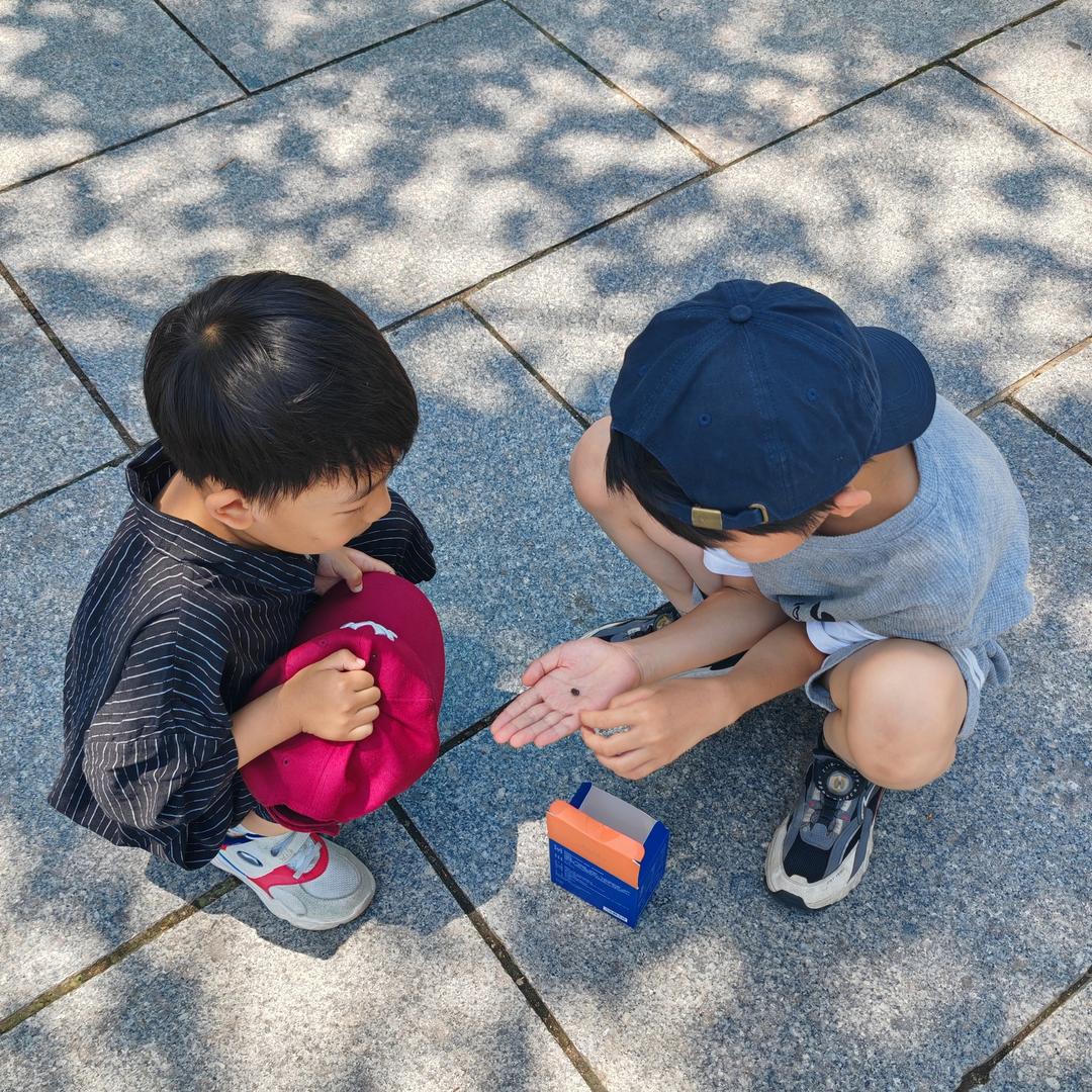 晓晓老师聊营养-森优泽