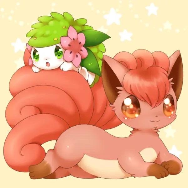 小猫(超级喜欢奋斗哥哥）