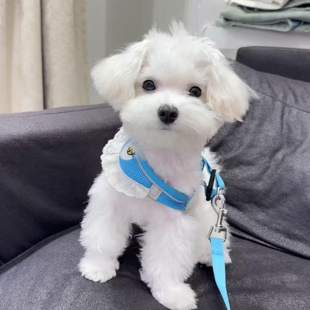 🌈q子和qq