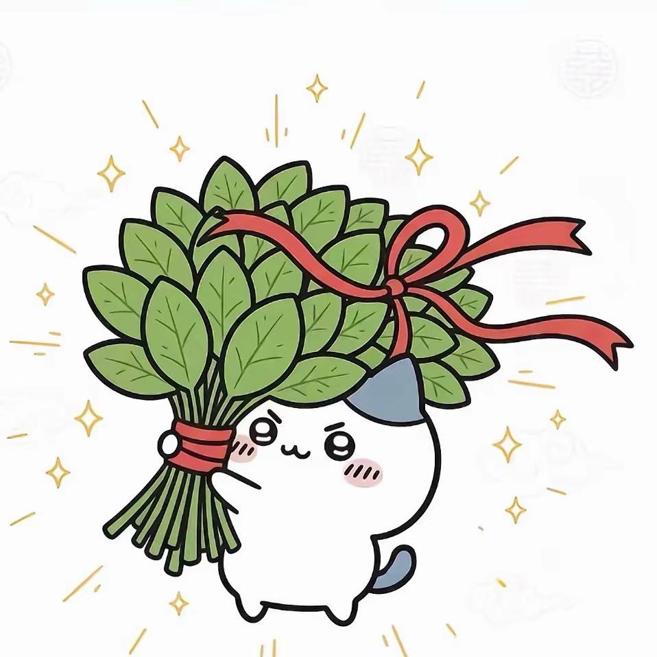 呆呆🐟